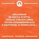  , , 54  -  27  2016    