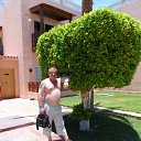  , , 52  -  24  2016    &quot; &quot; 2013