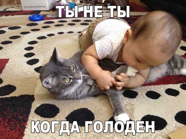    :D - 10  2016  09:05