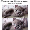 ���� �������, ������������ - ��������� 13 ���� 2016 � ������ ���� ����������