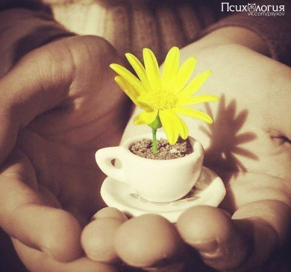 � � ��� ������� ����� 