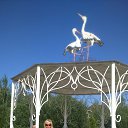 ���� ���, ���������, 50 ��� - ��������� 17 ������� 2016 � ������ ���� ����������