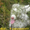 ���� �������, ������ - ��������� 17 ������� 2016 � ������ �������