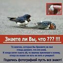 ���� ���, ������, 33 ���� - ��������� 11 ����� 2016 � ������ ������ ��������