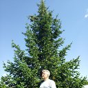 �������� � ������� ����� . �� ������� ���� ����������