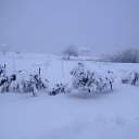 ���� ����������, ����, 75 ��� - ��������� 28 ���� 2016 � ������ ������������ �������������