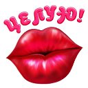 ���� ������, ������������� - ��������� 17 ����� 2016 � ������ �������� ��������