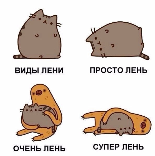   - 20  2016  10:13