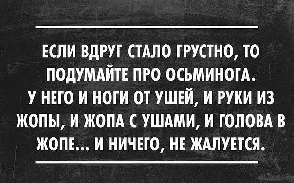   - 19  2016  22:49