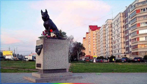 Памятник преданности в Тольятти.Летом 1995 года на том самом месте произошла автокатастрофа. ...