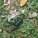 ���� �������, ���������� �����, 58 ��� - ��������� 24 ������ 2016 � ������ ���� ����������