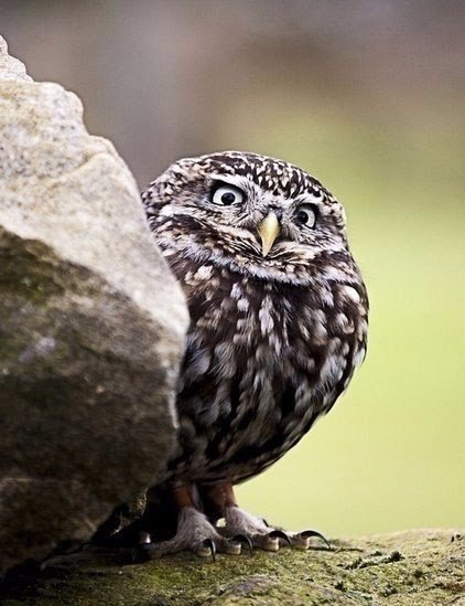   - 27  2016  07:04 - 4