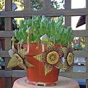 ���� Eric, ����, 61 ��� - ��������� 21 ��� 2016 � ������ �Flora and fauna�