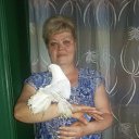 ���� ������, ������, 56 ��� - ��������� 4 �������� 2016 � ������ ���� ����������