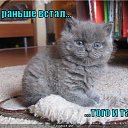 ���� �������, ������������ - ��������� 19 ���� 2016 � ������ ������� ��� ..����������