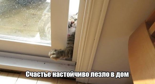    - 3  2016  22:28