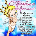 ���� �����, ������� - ��������� 24 ������ 2016 � ������ ������ ��������