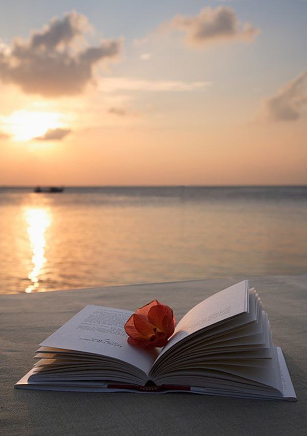 Новая страница в жизни. Красивые книги. Книга море. Книга цветы. Книги романтика.