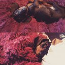 ���� ��������, ���������, 33 ���� - ��������� 3 ��� 2016 � ������ ������ ��������