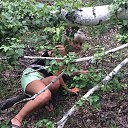 ���� �����, ���������, 52 ���� - ��������� 14 ���� 2016 � ������ ���� ����������