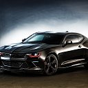 ���� �����, ������� ���� - ��������� 11 ���� 2016 � ������ ���� ����������