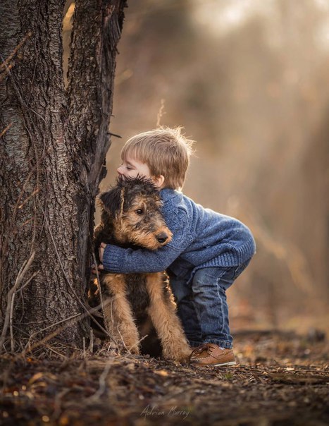     Adrian C. Murray