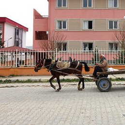 ���� Omar, ������� - ��������� 26 ������� 2016