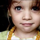 ���� ����, ���������, 41 ��� - ��������� 7 ��� 2016 � ������ ���� ����������