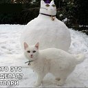 ���� ������, �����, 58 ��� - ��������� 15 ����� 2016 � ������ ������ ��������