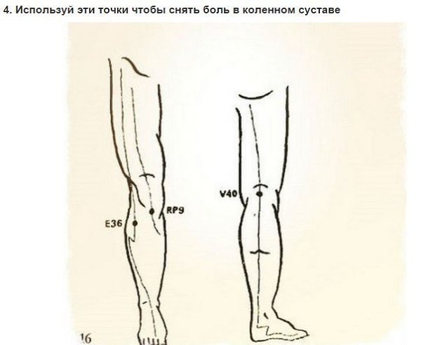 ���������� �������� �������� ����������, � ������� �� ����� ���� ���� ��������.��� ������ ������� ... - 5