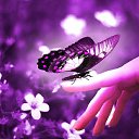 ���� Native, �������� - ��������� 16 ���� 2016