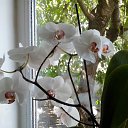 ���� ������, �������, 54 ���� - ��������� 5 ���� 2016 � ������ �������