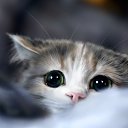 ���� Venochka, ������������ - ��������� 15 ������� 2016 � ������ ������ ��������