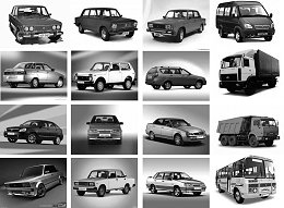 �����������