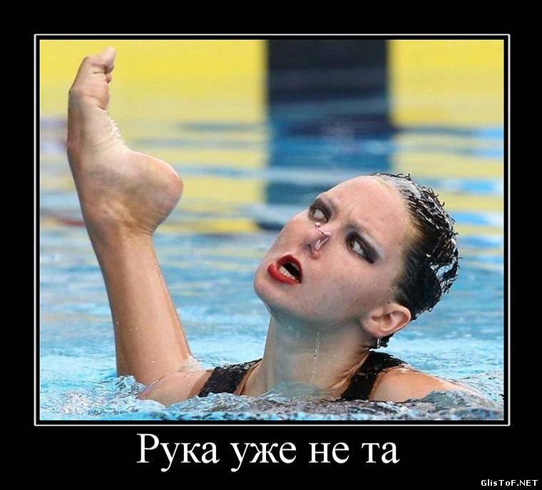   - 6  2016  19:40