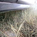 ���� ��������, �����, 48 ��� - ��������� 11 ������ 2016 � ������ ���� ����������