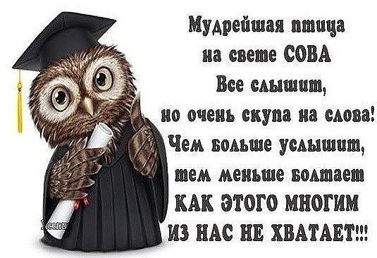  - 13  2016  19:38