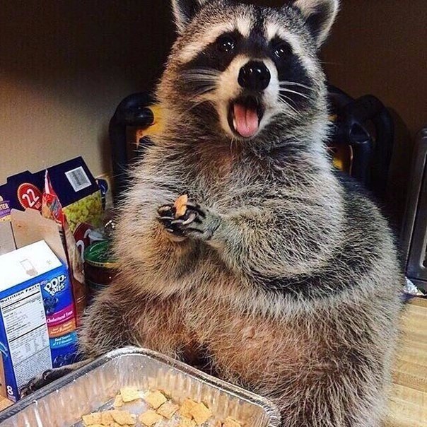   ,   ,   ? 