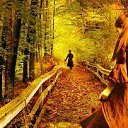 ���� ���������, ���������, 72 ���� - ��������� 22 ������� 2016 � ������ ������ ��������