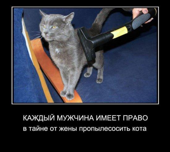   - 1  2016  13:37