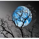 ���� Eric, ����, 61 ��� - ��������� 18 ������ 2016 � ������ ������ ��������