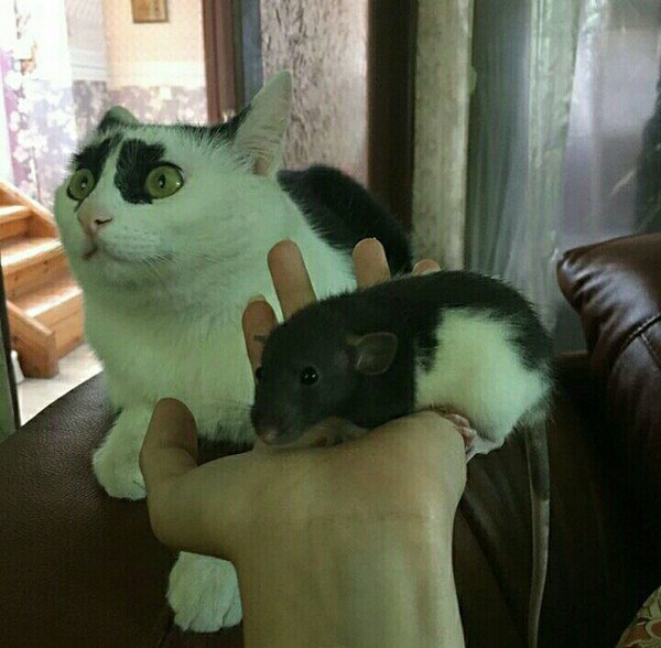     ,  , 