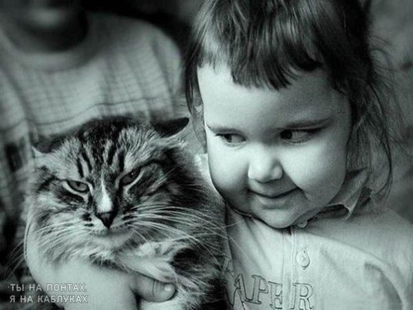 Характер у меня прелестный... А вот у вас нервишки – дрянь.