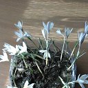 ���� ����, ������ - ��������� 12 ����� 2016 � ������ �������� ������ �����