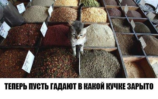 ? ,  ! - 2  2016  14:56