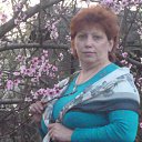 ���� �������, ������, 61 ��� - ��������� 23 ��� 2016