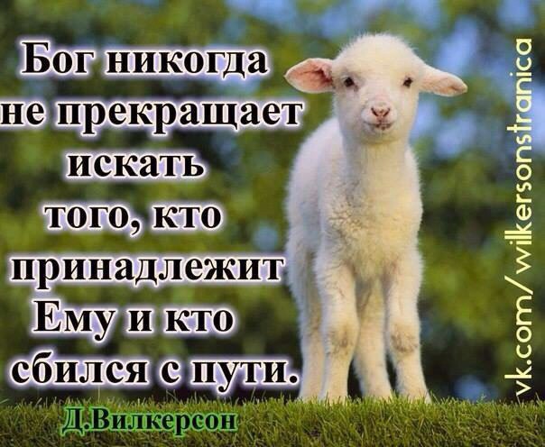 Valesa - 31  2016  20:08