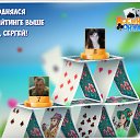 ���� ������, ������ - ��������� 8 �������� 2016 � ������ �������� �������-�������