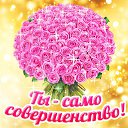 ���� ����, �����-��������� - ��������� 14 ������ 2016 � ������ �������� ��������