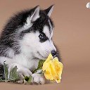 ���� Andrey, �����-���������, 62 ���� - ��������� 30 ��� 2016 � ������ ���� ����������